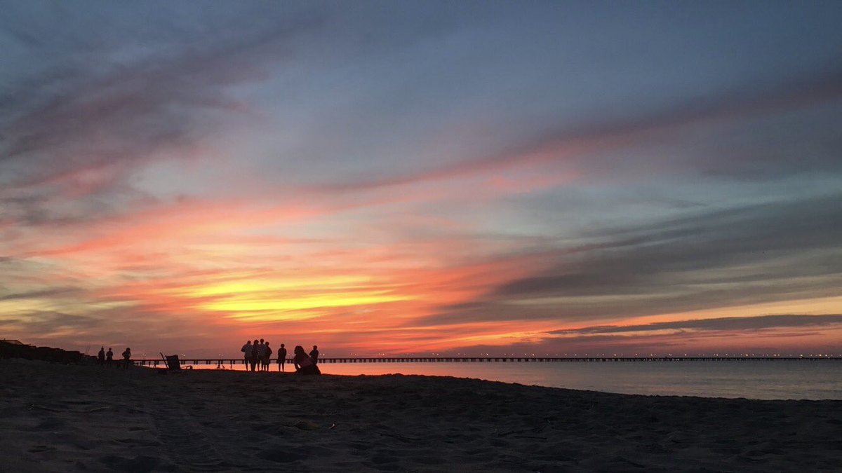 grace_theLION's tweet photo. What can't Virginia Beach do https://t.co/odD2wqkmwS