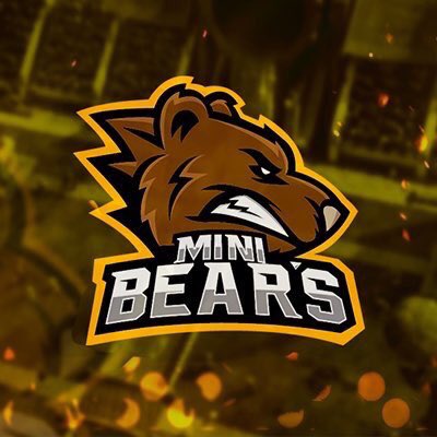 BearsGamingLA's tweet photo. Sigan a la cuenta de Twitter de nuestra cantera @goMiniBears 🐻🐻🐻🇲🇽 https://t.co/xeJPFiHxqt