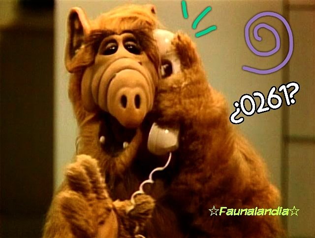 FaunaLandia's tweet photo. Pedimos disculpas x los inconvenientes ocasionados. Tenemos x el momento el número telf intercambiado, pueden comunicarse al (0261) 7785570 https://t.co/wAj9FjyPsG