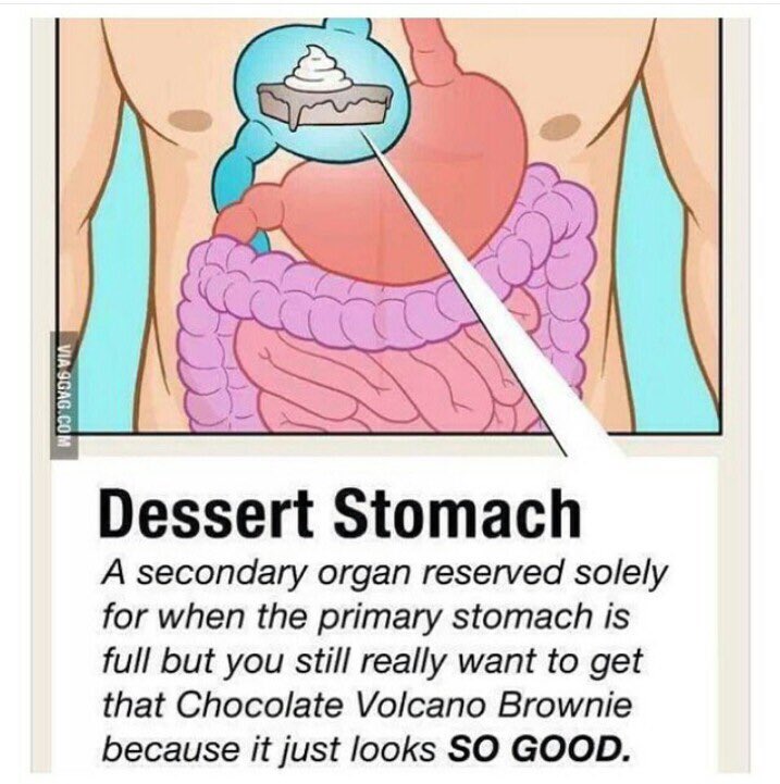 Желудок и желудочный сок. Желудок полный утром. Дополнительный желудок. Строение и функции желудка кратко. Желудок полный утром.
