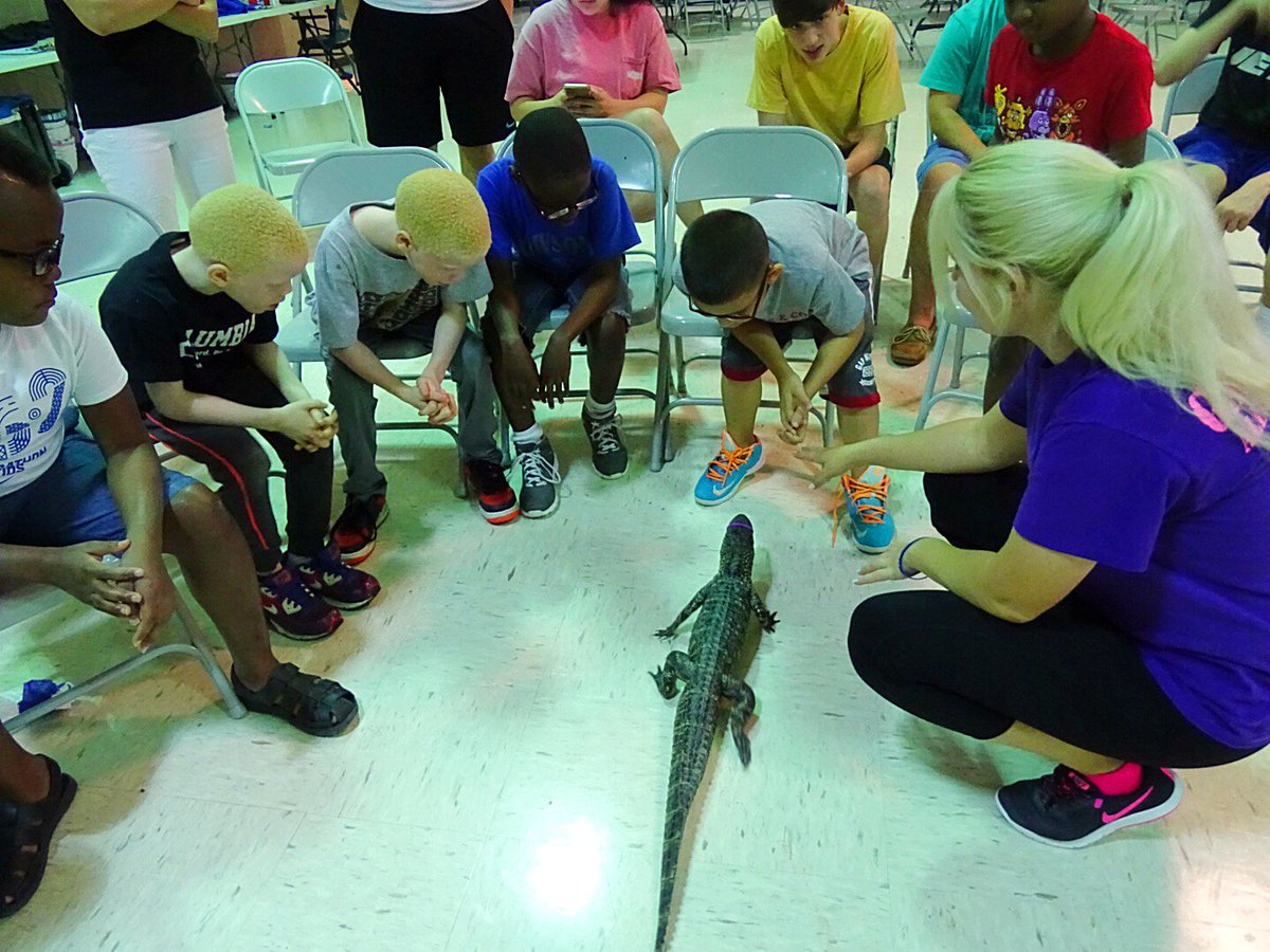 ChristyKroboth's tweet photo. Halo, the blind alligator had a blast teaching visually impaired children about alligators at The Lighthouse of Houston https://t.co/UkXSXnyayS