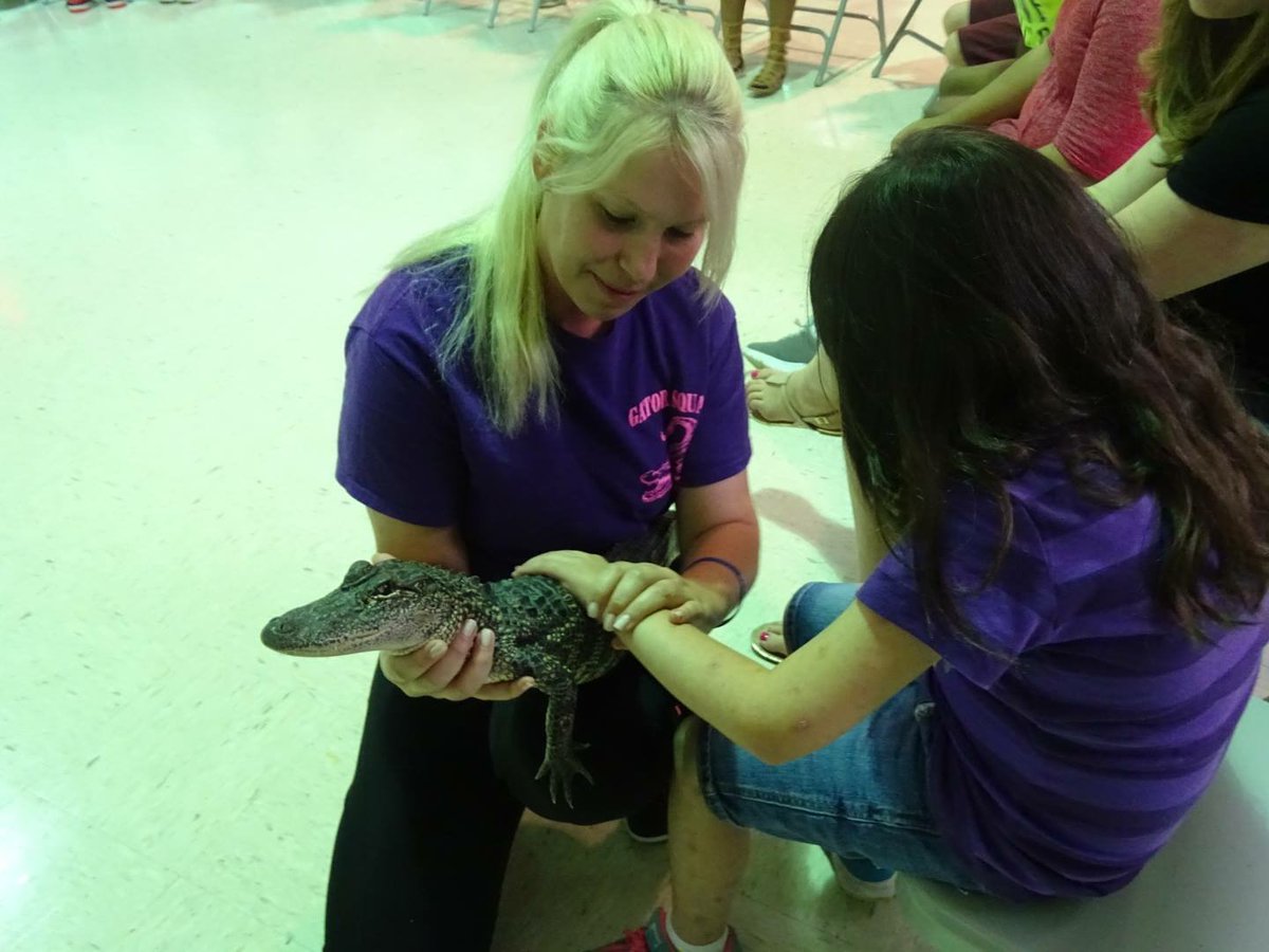 ChristyKroboth's tweet photo. Halo, the blind alligator had a blast teaching visually impaired children about alligators at The Lighthouse of Houston https://t.co/UkXSXnyayS
