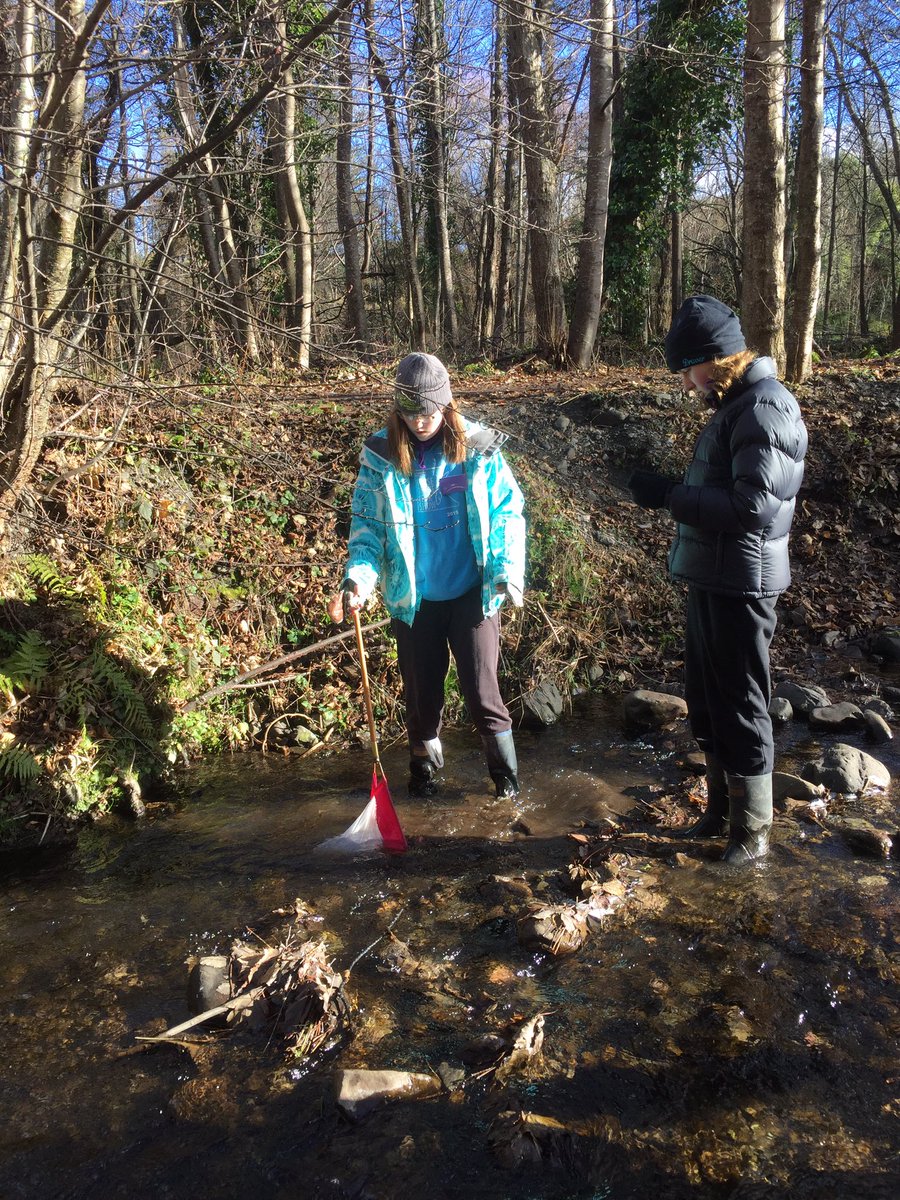 ktecollins's tweet photo. Purple group having a turn! #freshwaterecology #STEM #womeninstem @GirlGuidingNZ @UCNZbiology #UC_FERG #wintercamping #kicknet #bugID https://t.co/ZKEmzPuNGL