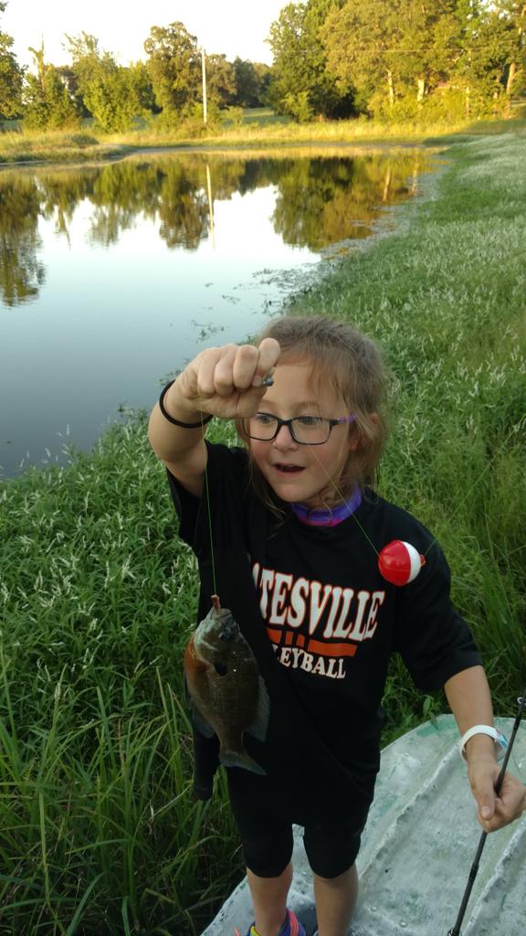 Carter_Cattle's tweet photo. Good way to spend the evening. We've drowned 18 worms and caught a dozen or so fish https://t.co/ZjFgToNOuI