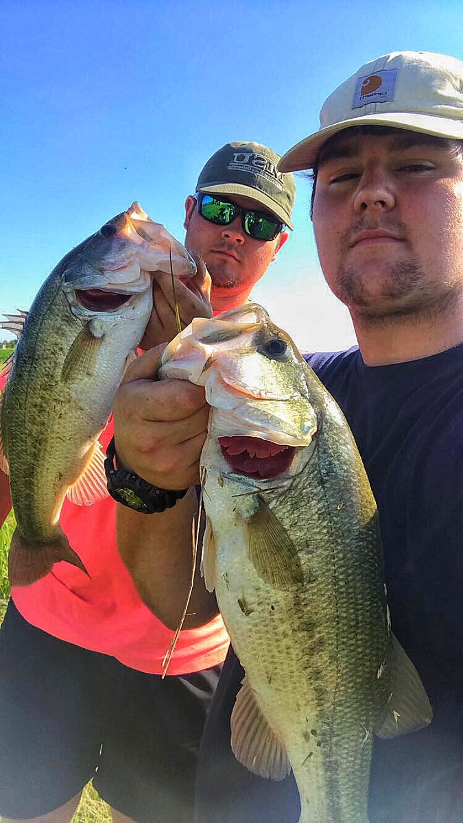 bassattacker_bo's tweet photo. Fish and friends https://t.co/jvfZXNtnjU