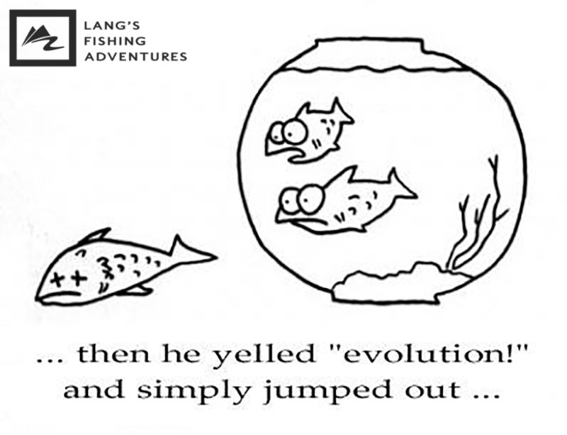 Lang's Fishing Adv. tweet media