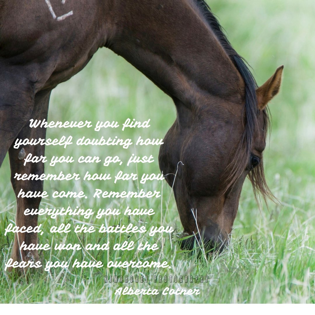 Tomorrow's another day... A new week...
New CHANCES, CHOICES and OPPORTUNITIES. What will you do with them? #NeverGiveUp #Writer #amwriting