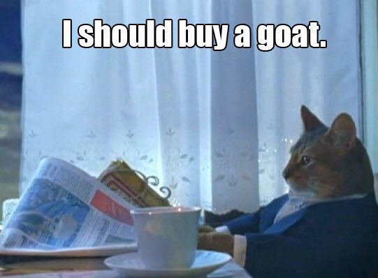 tristantales's tweet photo. This is @Erika_Costell every morning https://t.co/DYpo8Y02aC
