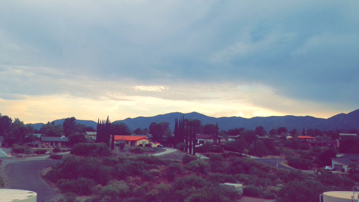 Ali Darrage Wright tweet media