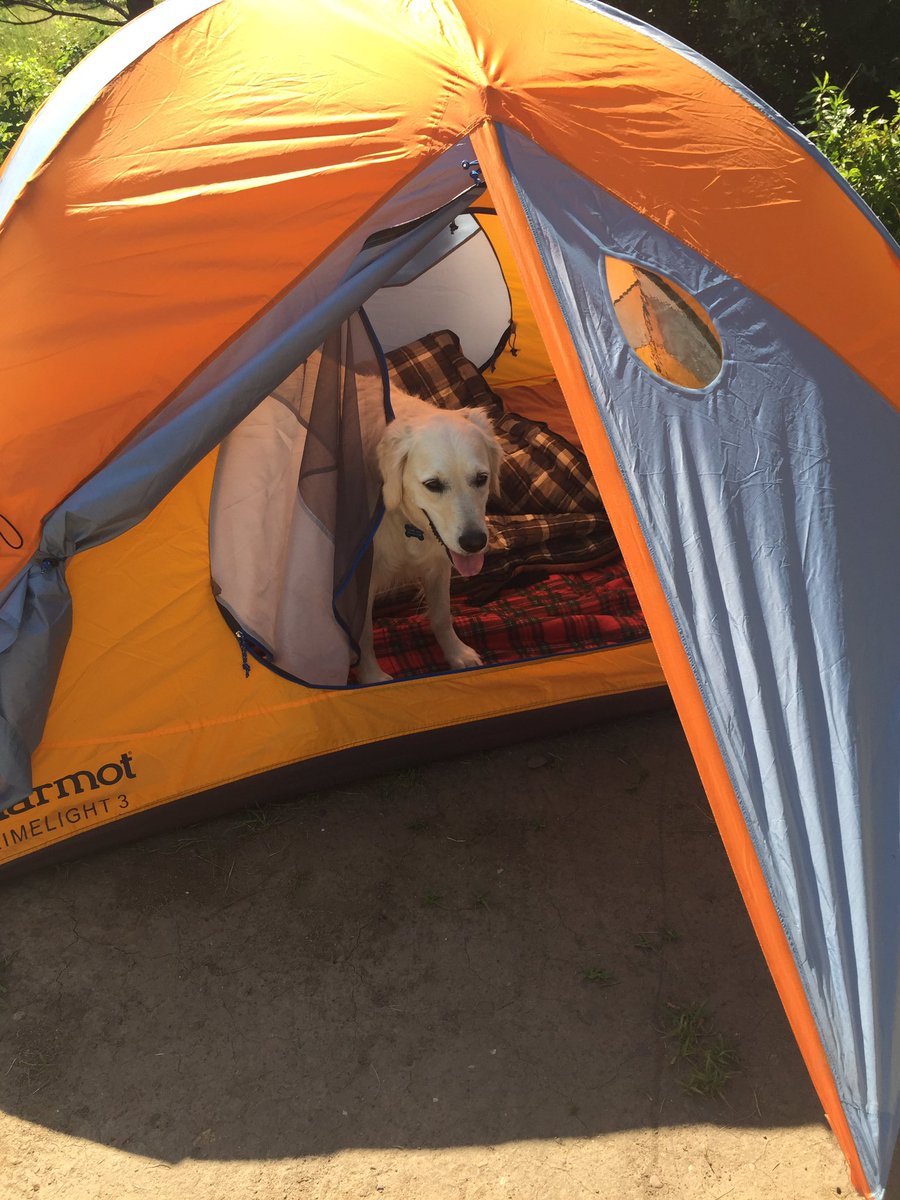 LindsayGolz's tweet photo. Roughin it πΎ #libbysadventures #camping #explore #WI #adventure https://t.co/te6CKTwsc3