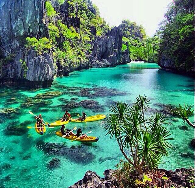 PHBeachHoliday's tweet photo. Know more about Palawan. Read here https://t.co/ZgPMXt8OoN
#PhilippineBeachHolidays #PhBeaches #Palawan https://t.co/GRVUkdGlv0