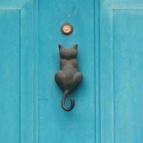 poopy_cat's tweet photo. #poopycat https://t.co/G4EVE7Nj0R