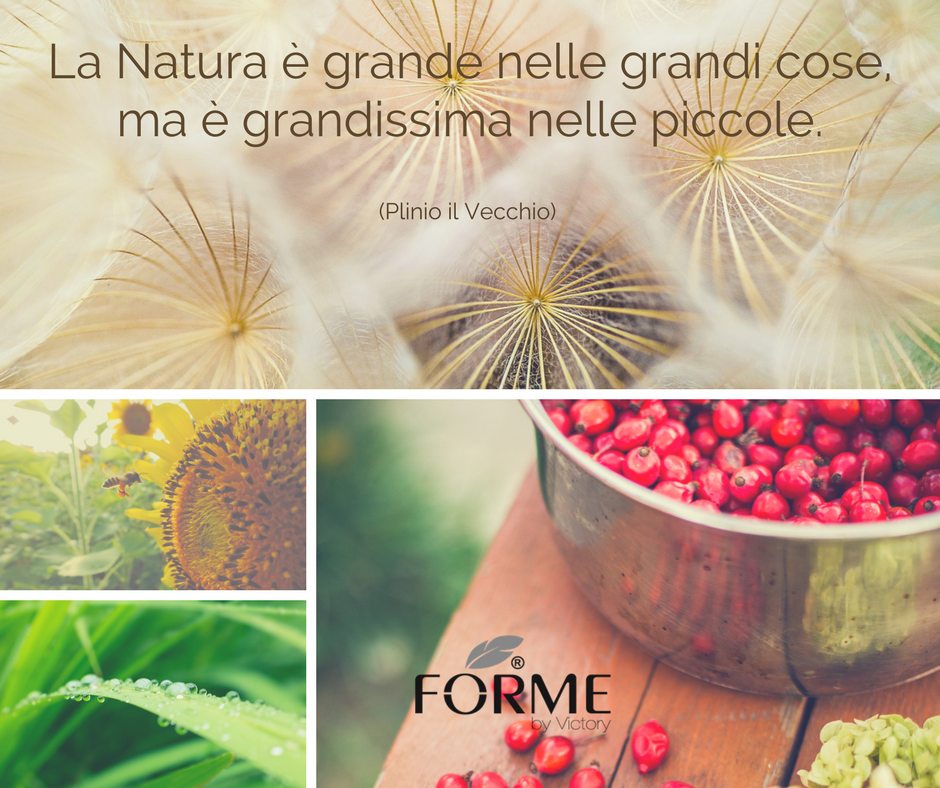 FormebyVictory's tweet photo. La #natura è qualcosa di #meraviglioso.
Rispettiamola sempre. 🌻🍃🐝
#nature #respect #buonadomenica #relax #love https://t.co/4TlAKhL3Xa
