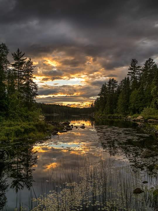 Bonjour mes amis 🌷🌷