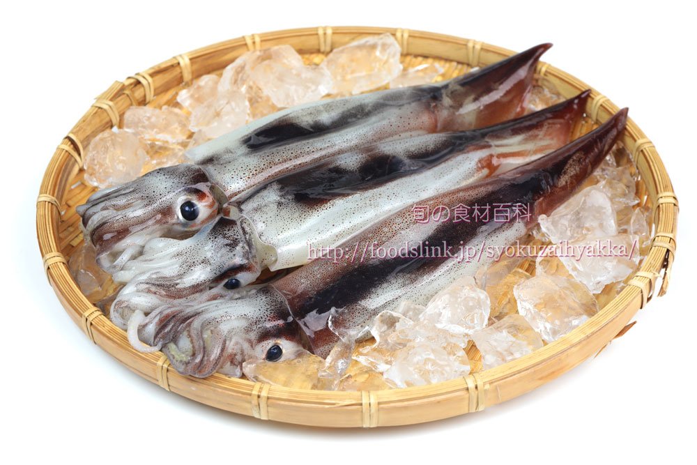 旬の食材百科 T Co Ly1dc360gs スルメイカ するめ烏賊 マイカとも呼ばれるもっともポピュラーな イカですが ここ数年不漁続きで高騰していますね 夏イカとも言われるように これから旬を迎えます 縁日のイカ焼きも美味しいですよね 食材百科