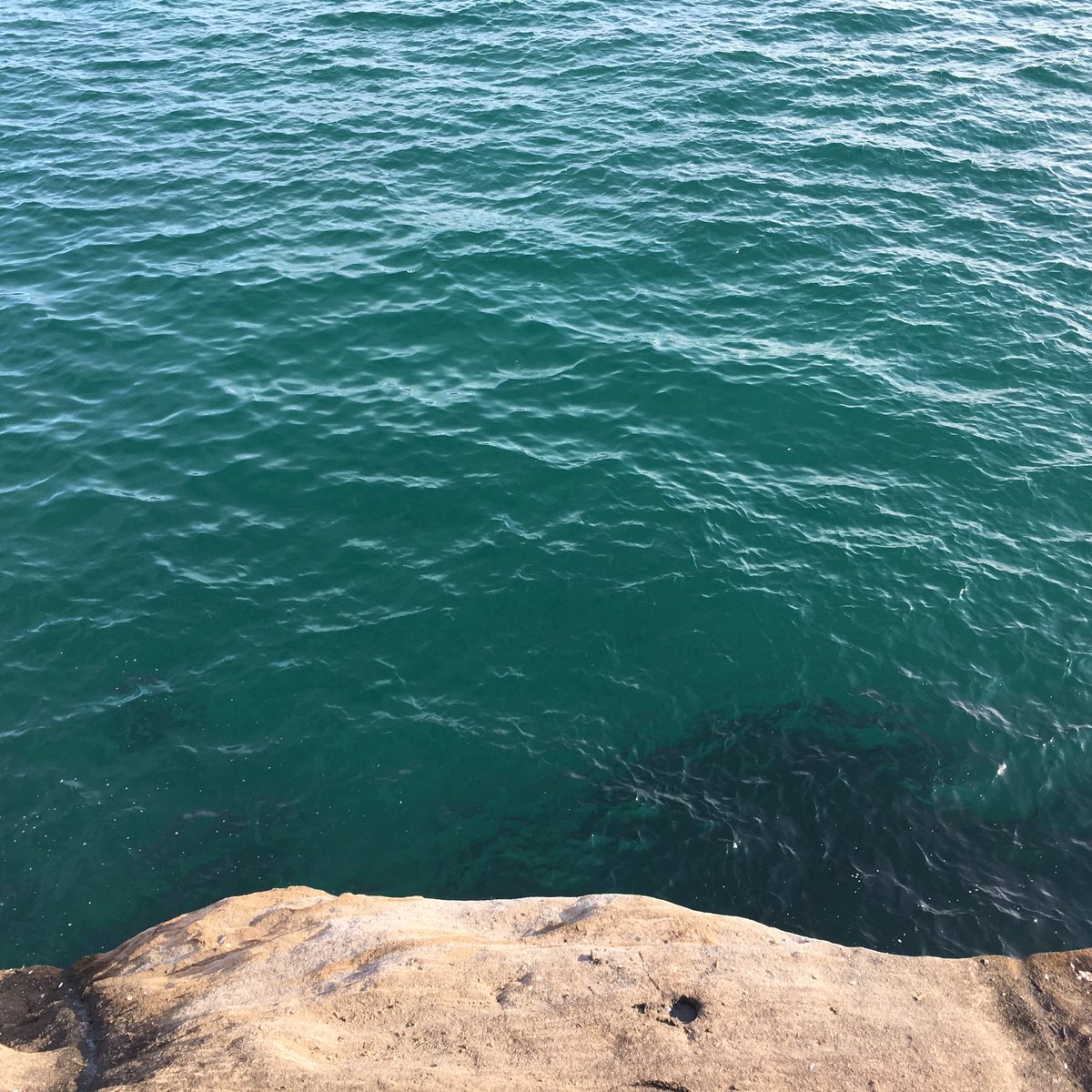 OurLadyShaw's tweet photo. The Ocean: It is beauty, it is grace...it will cause terror and bitchslap you in the face. #dontmesswiththeocean   #prettytho https://t.co/tuMo2FFtGg