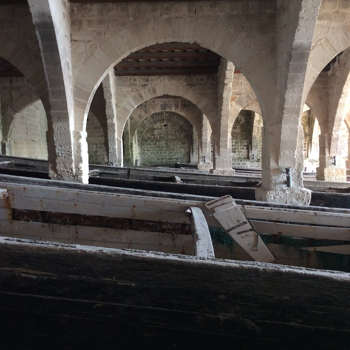 Buongiorno #Favignana 🐟🛶🐠🦑🐟🐙