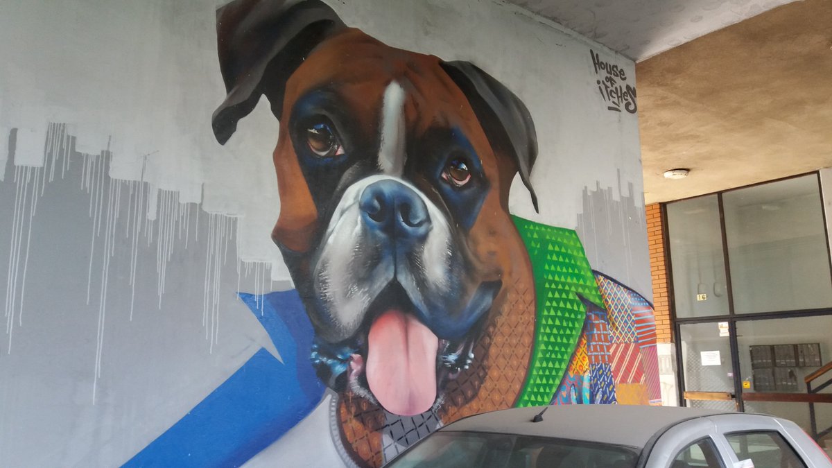 La zona de confort es la gran enemiga de la creatividad.-Dan Stevens. ¡Os deseamos una semana cargada de creatividad!