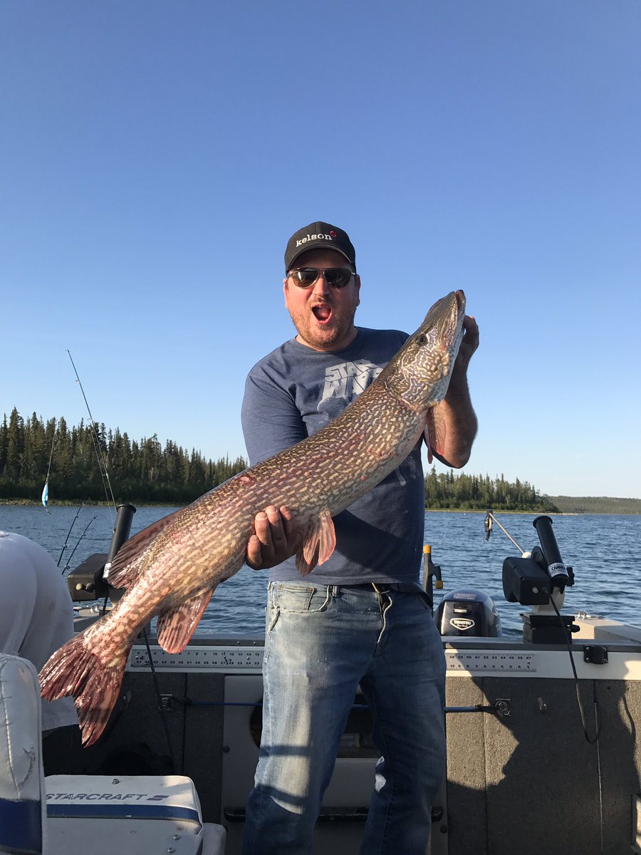 DalyChadwick's tweet photo. Great evening fishing. At 10pm still sunny. #inYellowknife #pike #lakers https://t.co/2qQfdaxHnv