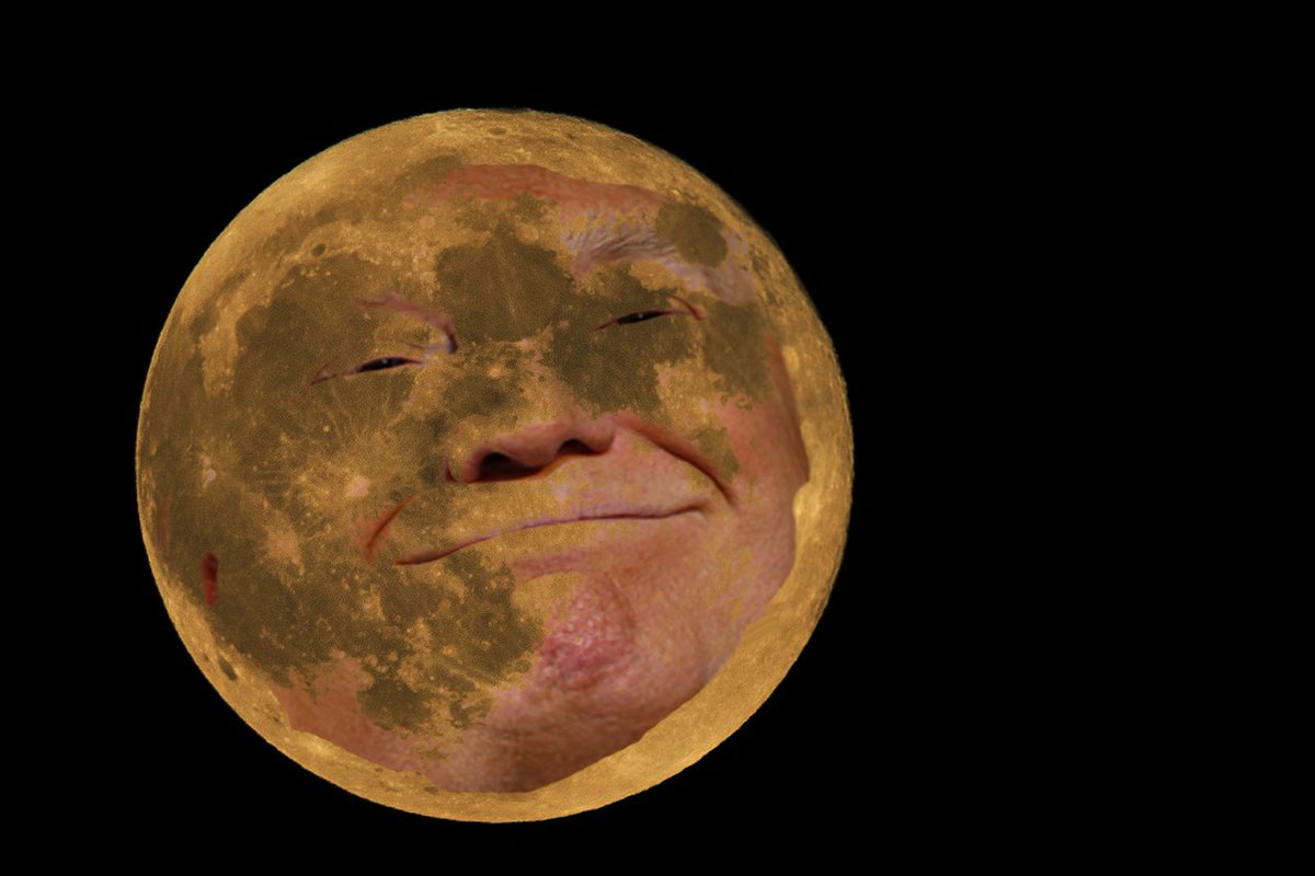 TriumphICDHQ's tweet photo. You know, it's never easy photoshopping without thumbs, but damn it HE HAS #MANINTHEMOONFACE!
#peoplehavetherighttoknow https://t.co/CfjPXFN9A9