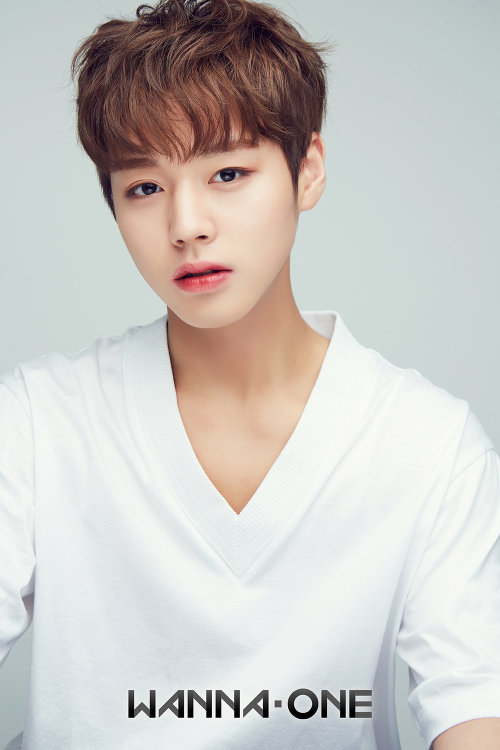 Biodata Member Wanna One