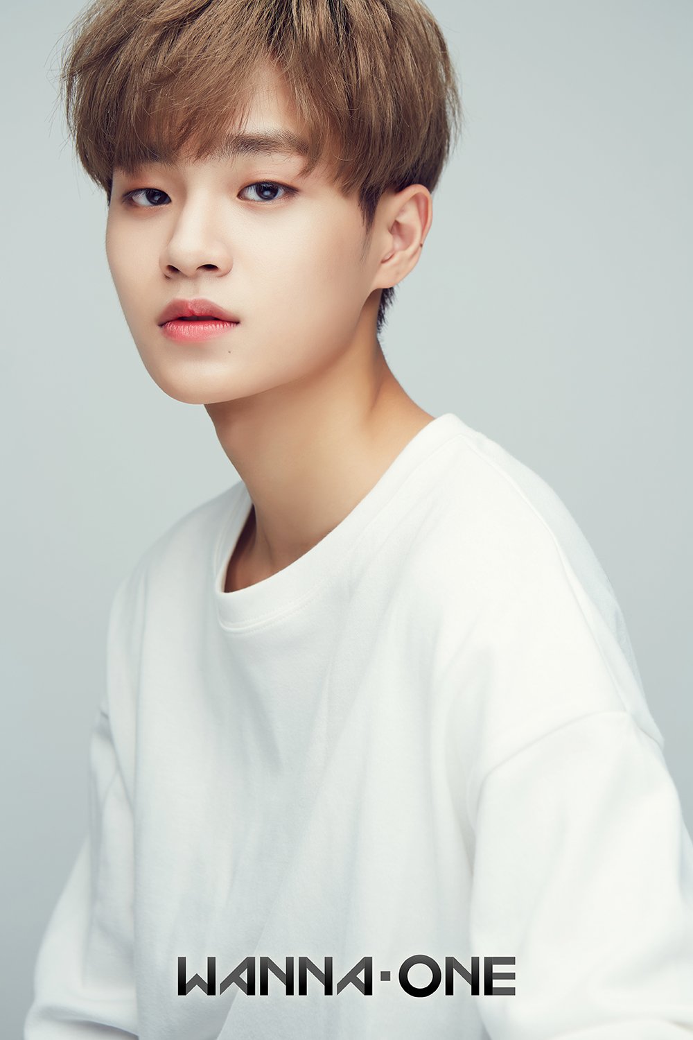  Wanna  One  on Twitter Wanna  One  Member Profile  2  