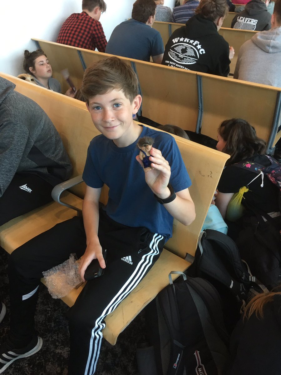 BSCSIceland's tweet photo. Toby accepting the trolls challenge like a pro #trollchallenge #departurelounge https://t.co/gXfkHIVzLN