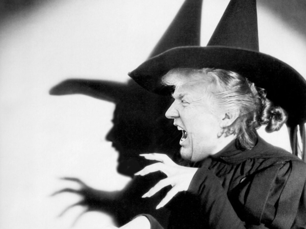 LunaLuvgood2020's tweet image. Oh Donald, 

We'll Get You 

My Pretty 

And Your Lil 

 Dog 🐶 Jared 

#MuellerTime 

#TrumpRussia 

#Resistance 

#HeroesResist💥