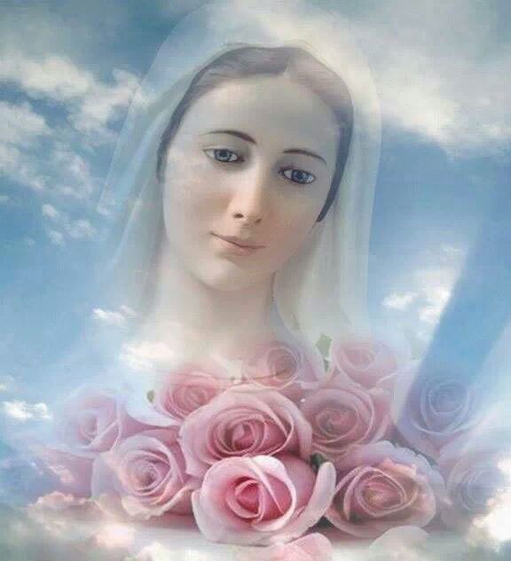 María madre nuestra, ruega por nosotros