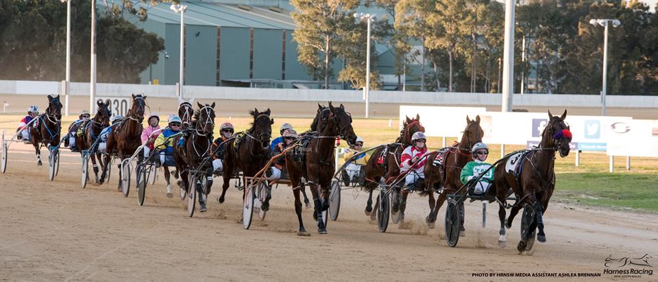 Ncle Harness Racing tweet media