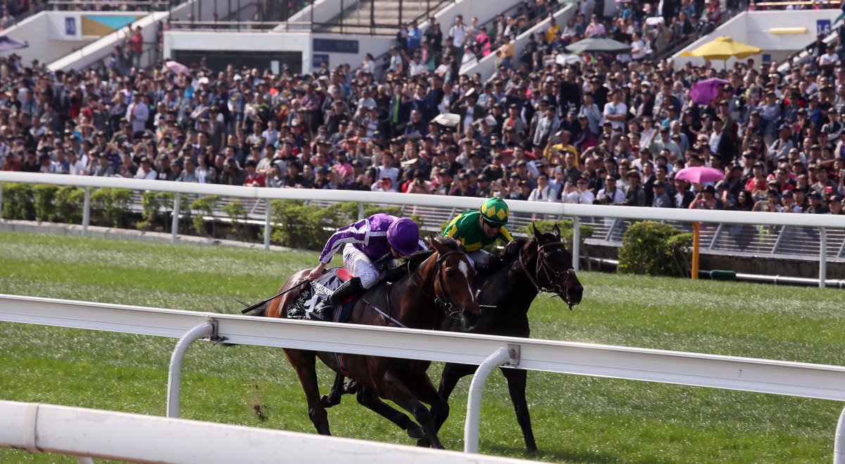 HKJC_Racing's tweet photo. #APQEII Cup, Champions Mile, Chairman's Sprint Prize, #HKIR Vase all enjoy prize money boosts next season https://t.co/zvpQu04Ktz https://t.co/PD2CwHOAZs