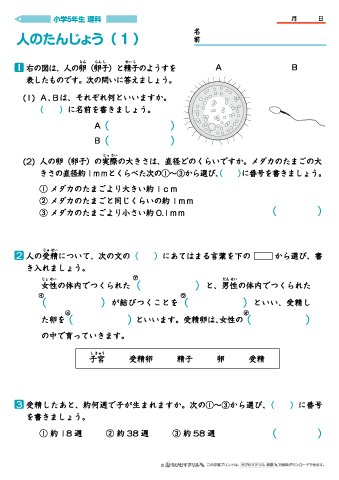 ちびむすドリル على تويتر 作成 追加しました 小学５年生理科 人のたんじょう 問題プリント ４枚 T Co 0awknhlc0b 卵と精子による人の受精についてや 母親の子宮のつくり 人 が母体内で成長して生まれるまでの様子についてを学び 確認するプリント