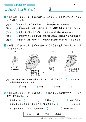 ちびむすドリル 作成 追加しました 小学５年生理科 人のたんじょう 問題プリント ４枚 T Co 0awknhlc0b 卵と精子による人の受精についてや 母親の子宮のつくり 人 が母体内で成長して生まれるまでの様子についてを学び 確認するプリント