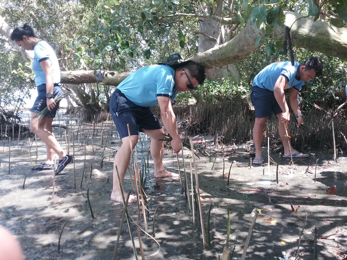 42ndsac's tweet photo. 42sacpunisher July 8
@42sac personnel during the mangrove planting activity in the coastal area of Zone 6, Brgy Bula General Santos City.. https://t.co/NbE7xAaruf