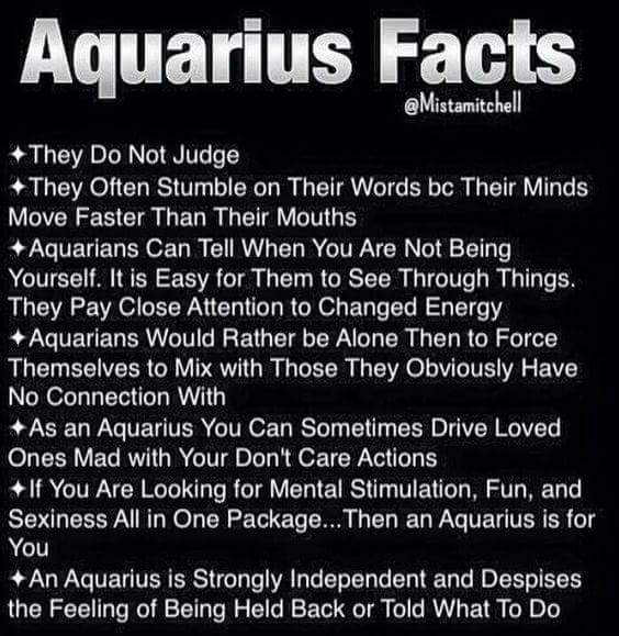 palomaroo's tweet image. 