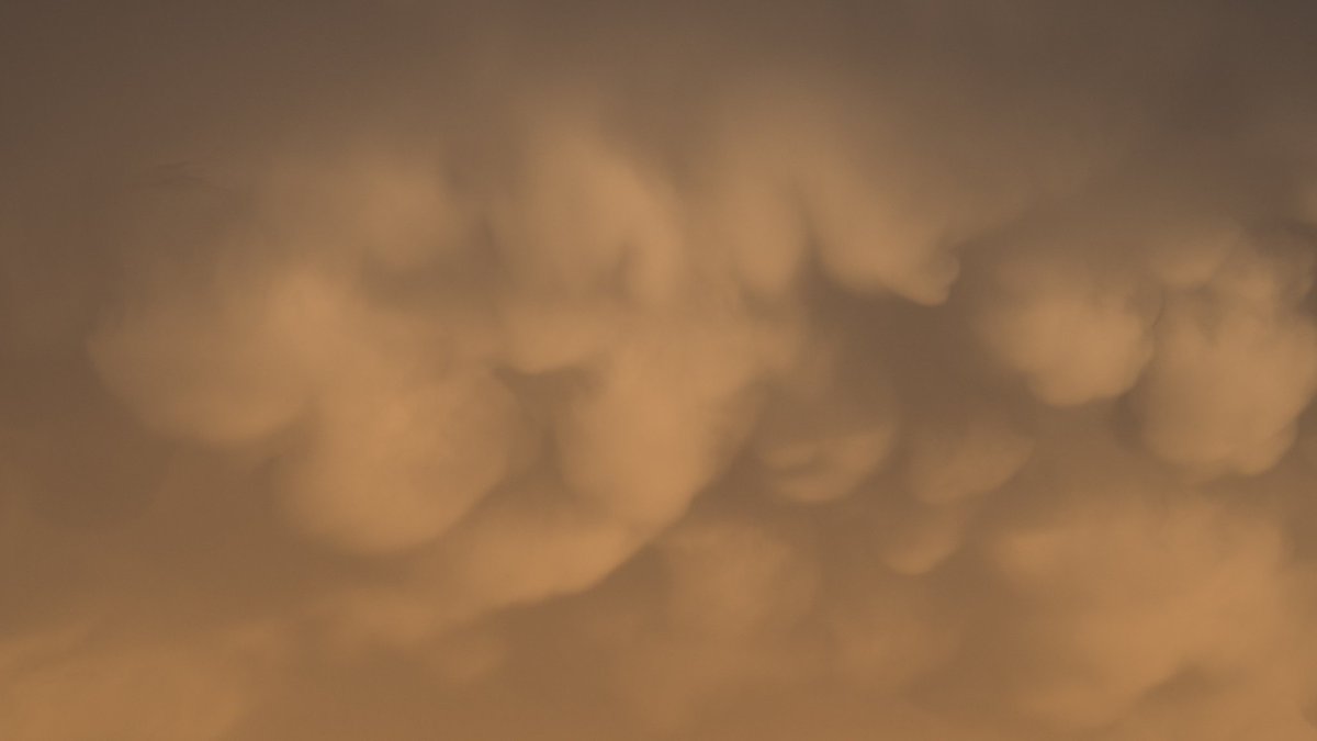 photosbycac's tweet photo. #Beautiful #mammatus #clouds just north of #gilabend at #sunset tonight. #abc15wx #abc15 #puppyface #faceinclouds https://t.co/Bw1pLlcrl2 https://t.co/vlFQB9lxm2