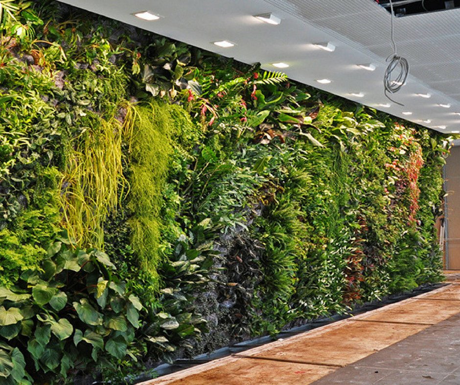 Seeff_MU's tweet image. Discover how you can design &amp;amp; setup your own living wall for your garden: goo.gl/ceSk4k #Seeff #Garden #Livingwall