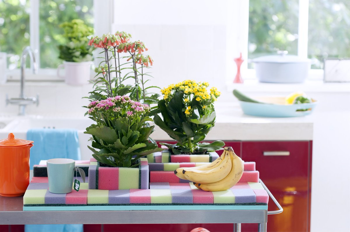 watplantendoen's tweet photo. Deze #DIY past naadloos in de 2017 woontrend waarin het allemaal niet zo serieus hoeft te zijn! https://t.co/USm6t2D8dv #mwpd #wpvdm https://t.co/LX2Rp2z7D4