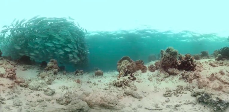 babaplaya's tweet photo. Un avant goût de vos découvertes de l'été☀️, merveilleuse vidéo 🐟 #Babaplaya @dandy_cannes https://t.co/2aZDRyzQu3 … https://t.co/uPK6tZT3EP