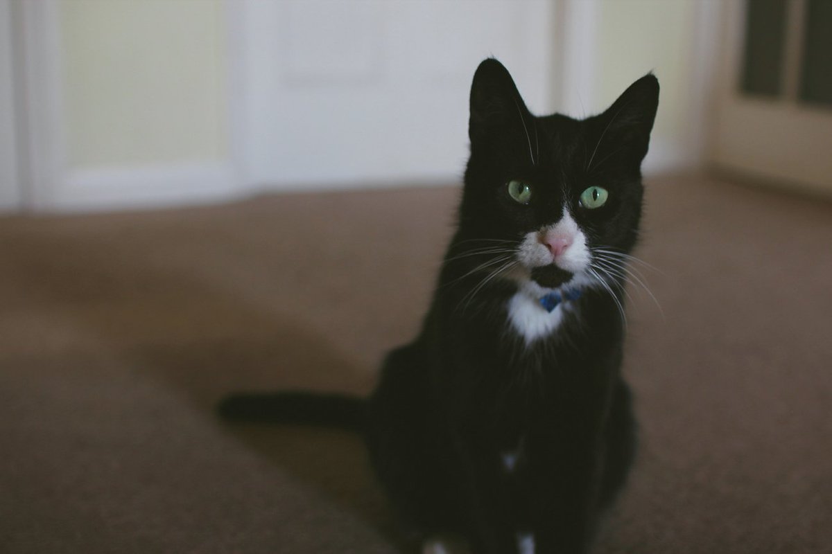 Making music in rural Northumberland for our upcoming show on 19th July at <a href="/SuttonHouseNT/">Sutton House NT</a>! <a href="/HandOfEvents/">Hand Of</a> <a href="/joefsnape/">Joe Snape</a> almostcrediblemusic.uk