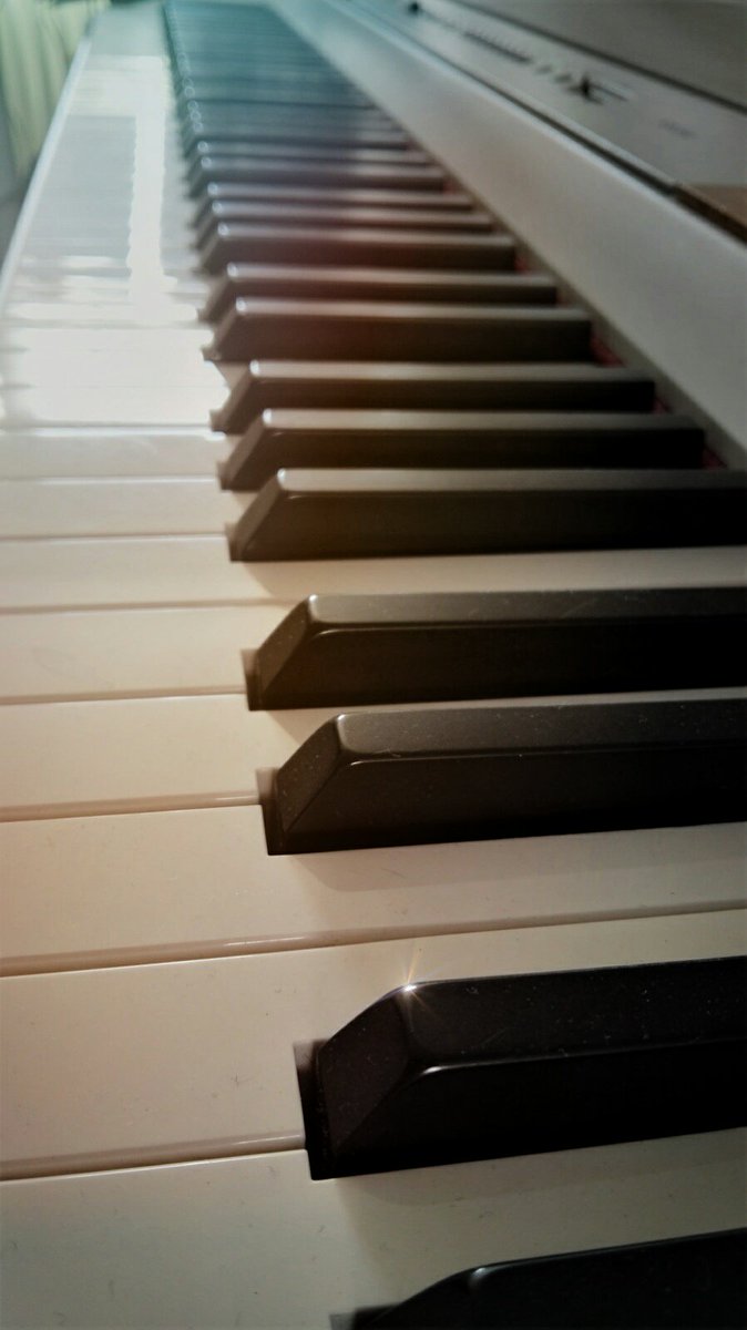 TheJadeVine's tweet photo. "Someone has the Monday Blues today "
#mondaymorning #mondayblues #studiorecording #blues ##photography #piano #korg #music #london https://t.co/s10MhOY0fY