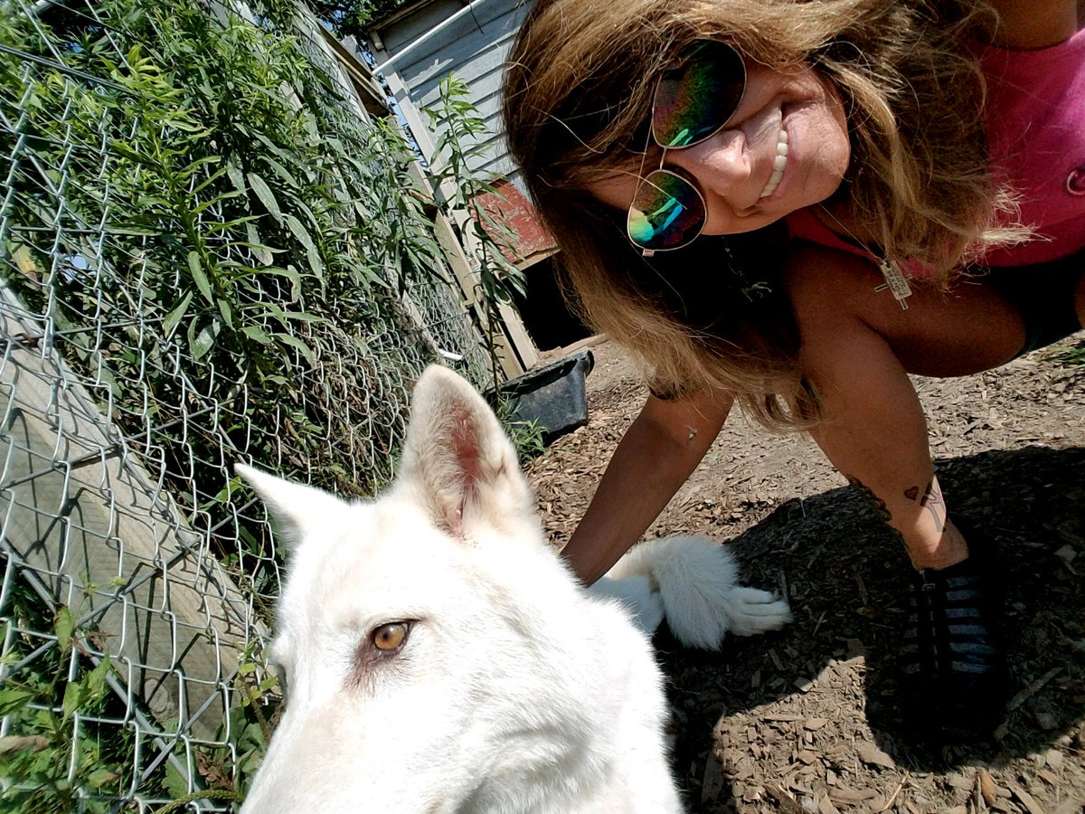 Stacey1219's tweet photo. #wolfselfie @Wolfiesmom @Cleen_Rock_One @MClancy1962 @NikkiSixx @alterbridge @stevebinger1 @Ykztilpet @Sausagekingtat Kotori at HWF. https://t.co/0Ayi70EZsw