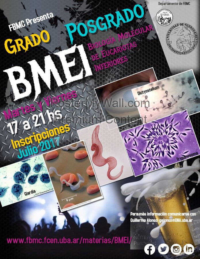 buiyitw's tweet photo. Naturalista Molecular: Biólogo con pasión por conocer y caracterizar nuevos mecanismos presentes en organismos no tan populares. #BMEI #FCEN https://t.co/OEJvW5F0R4