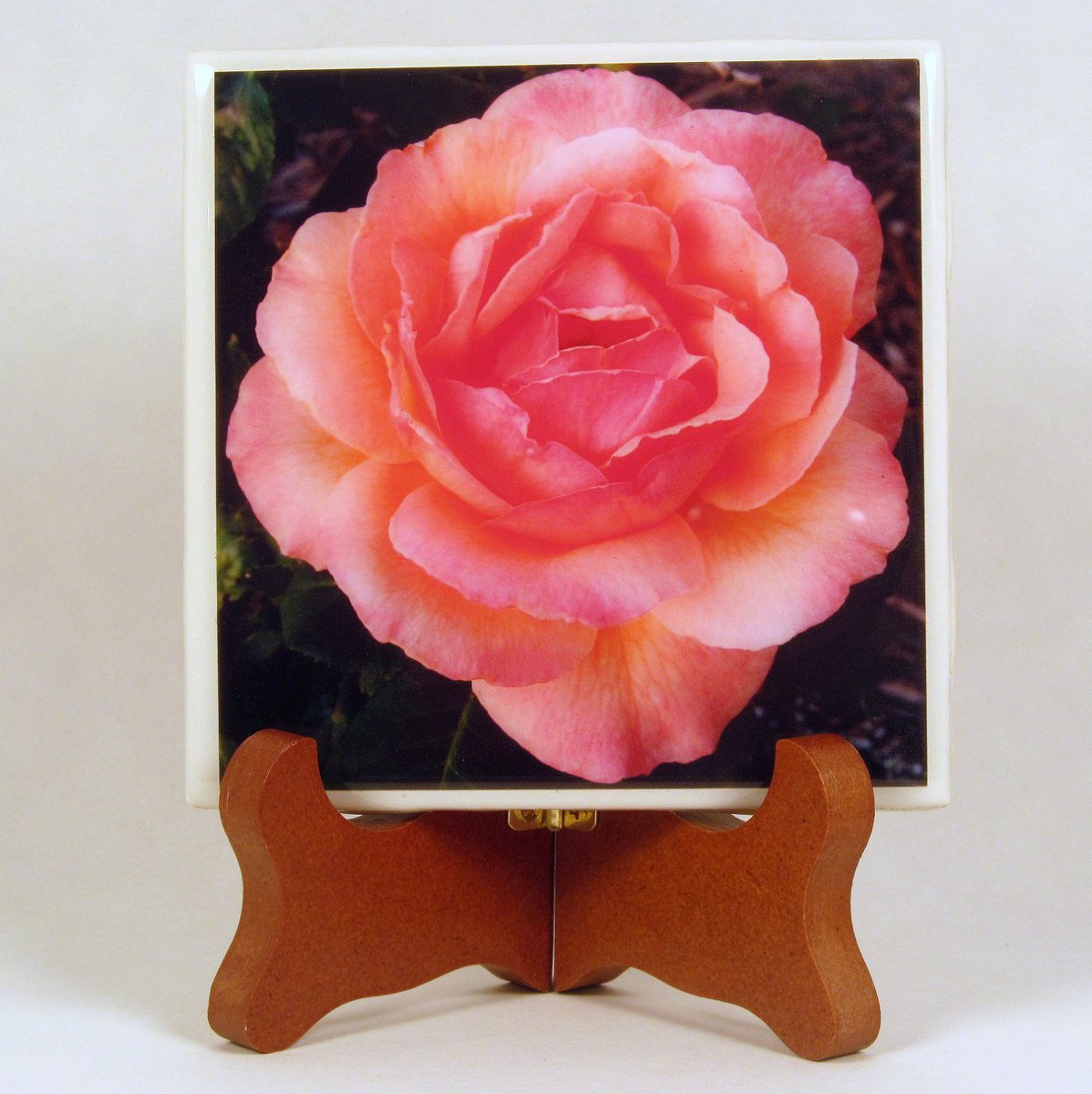 dovesclosetinc's tweet photo. Pink Rose Handmade Photo Coaster, FI0138 https://t.co/0S2Uybijez #Etsy #TileCoaster https://t.co/CZ2cNl36Zi