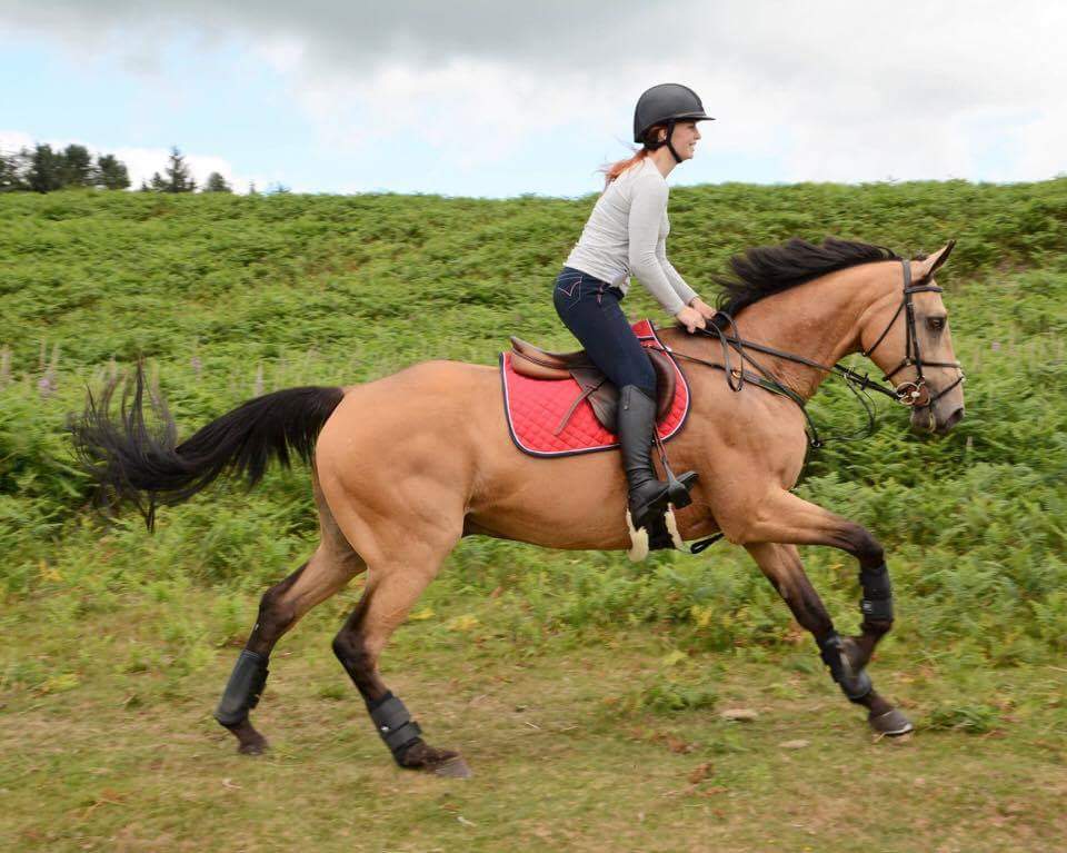 Altommar's tweet photo. I love my Yellow Peril 💛 our fun ride photos from yesterday... permission granted to use photos btw!! #happyhorse  #WhatSummerIsMeantFor https://t.co/7jMJ7n1tbg