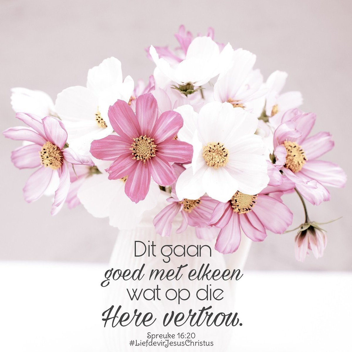 LiefdevirJesusC's tweet photo. Dit gaan goed met elkeen wat op die Here vertrou
#goed #vertrou #God #Here #HeiligeGees #Vader #Jesus #JesusChristus #LiefdevirJesusChristus https://t.co/NBbkC6bMZc