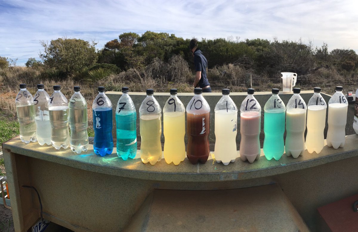 Ran out a range of exciting post em nutrition brews at Z31, hope they perform as good as they look