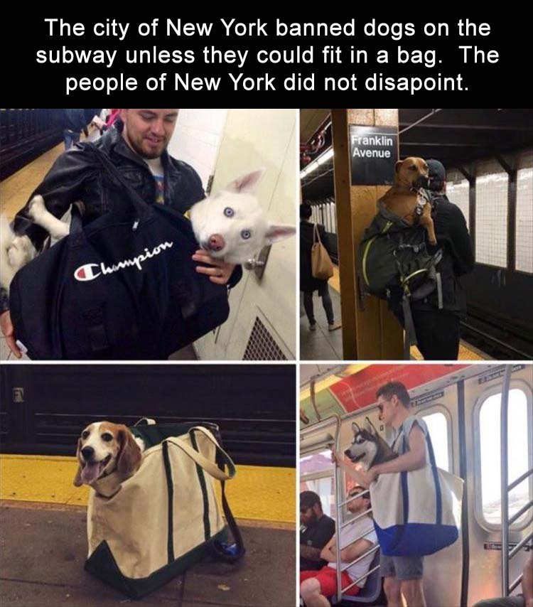 Smash Hills tweet media