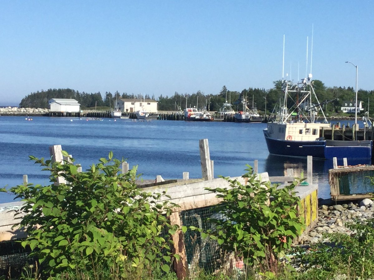 beckysknit's tweet photo. Sunday Evening #lobsterfishingboats #lockeportnsharbour #tidecomingin #sunnyskies #protectedharbour #myhometown #lovethesaltair https://t.co/rDwTcmCJND