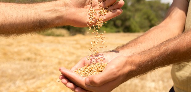 Luxury_Spain's tweet photo. Damos la bienvenida a @Can_Company quien se atreve a crear maravillosas combinaciones de ingredientes. https://t.co/IMCFc6GWcR
